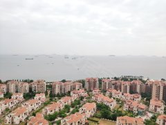 龙海石码最新二手房价走势与深度市场分析