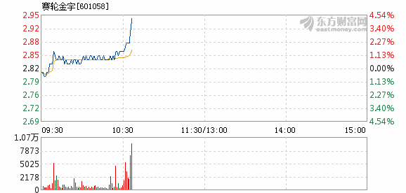 赛轮金宇最新十大股东一览表概况