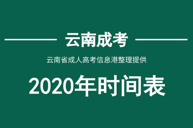 云南成人高考最新政策解读与分析