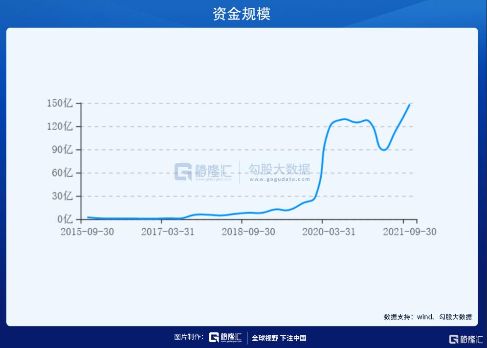 基金股票最新持仓分析，洞悉动态与未来展望